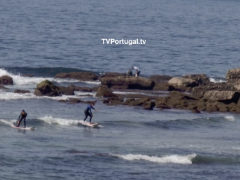 CAF - Actividades de Apoio à Família, Junta de Freguesia Cascais e Estoril, Pedro Morais Soares, Cascais, Televisão, Portugal