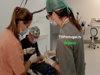 Bonfante Advanced Training, Doutor Fernando Bonfante, Dhebora Bonfante, Paulo Kano, Cascais, Portugal, Televisão, Carcavelos