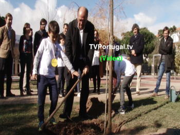 Plantação Simbólica de Árvores na Escola Raul Lino, Carlos Carreiras, Pedro Morais Soares, Frederico Pinho de Almeida, Cascais, Televisão, Portugal