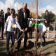 Plantação Simbólica de Árvores na Escola Raul Lino, Carlos Carreiras, Pedro Morais Soares, Frederico Pinho de Almeida, Cascais, Televisão, Portugal