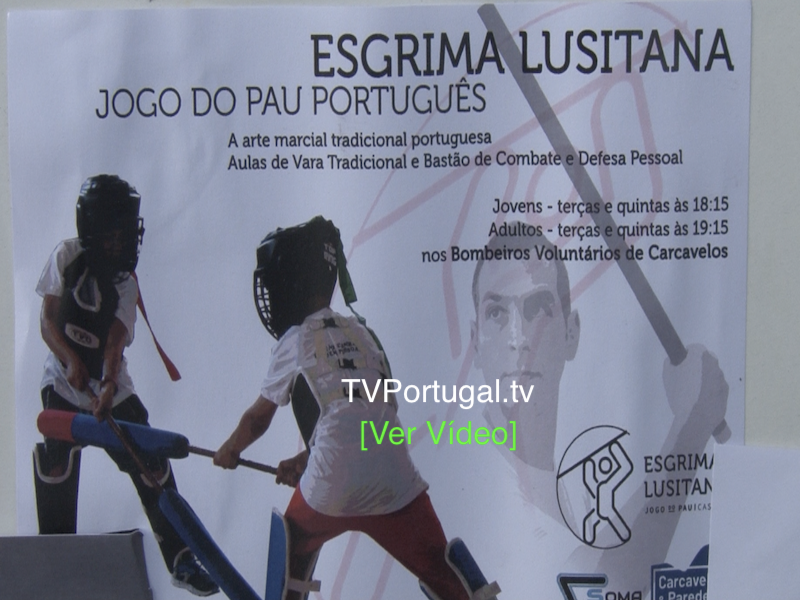 Festas de Carcavelos & Parede, Associação Soma Não Zero, Cascais, Televisão, Portugal, Reportagem, Cesar Major, Nuno Alves