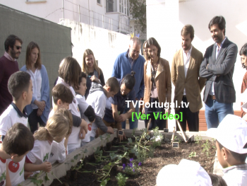 Horto Escolar | Escola EB1 N.º2 de Birre, Pedro Morais Soares, Cascais, Televisão, Portugal, Cobre, Junta de Freguesia Cascais estoril